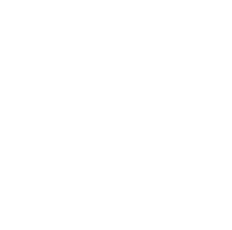 SIN-Logo-dots